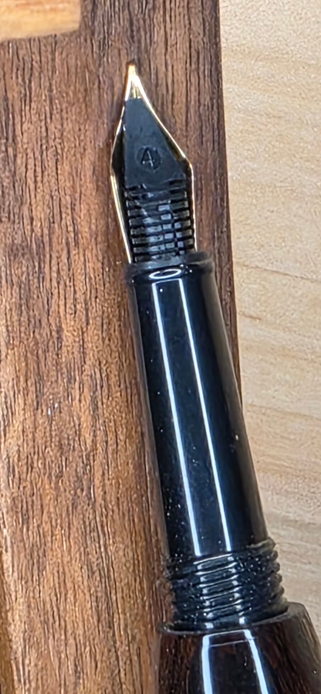 Atrax Fountain pen in desert iron wood
